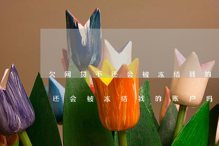 欠网贷不还会被冻结我的账户吗-欠网贷不还会被冻结我的账户吗怎么办