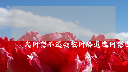 欠网贷不还会被网络追逃(网贷逃跑会被找到吗)