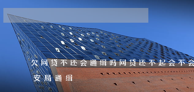 欠网贷不还会通缉吗(网贷还不起会不会被公安局通缉)