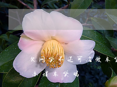 欠网贷不还可以做车贷吗(借了很多网贷还能办理车贷吗)