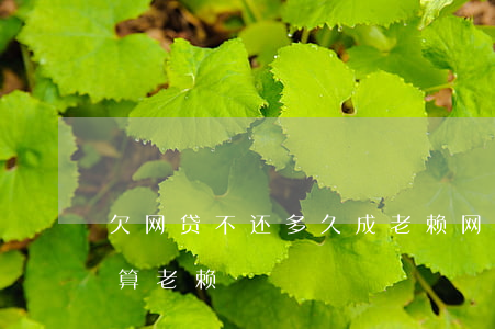 欠网贷不还多久成老赖(网贷逾期不还多久才算老赖)