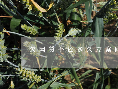 欠网贷不还多久立案(网贷欠钱多久会被起诉)
