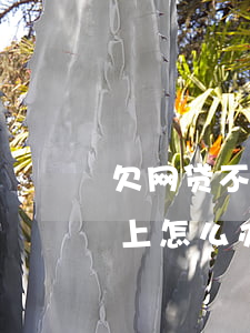 欠网贷不还家里知道吗(欠了网贷家里也还不上怎么办)