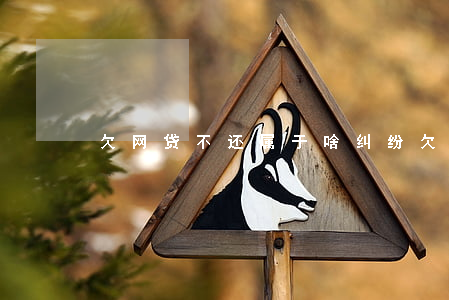 欠网贷不还属于啥纠纷(欠网贷不还违法吗)