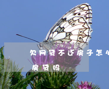 欠网贷不还房子怎么办(欠着网贷不还清可以房贷吗)