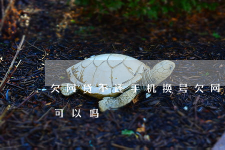 欠网贷不还手机换号(欠网贷不还换手机号码可以吗)
