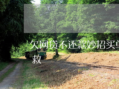 欠网贷不还款妙招买单侠(欠很多网贷怎么自救)