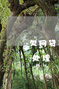 欠网贷不还款妙招会被上门(欠网贷上门怎么处理)