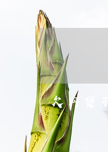 欠网贷不还的妙招(欠网贷不还怎么办)