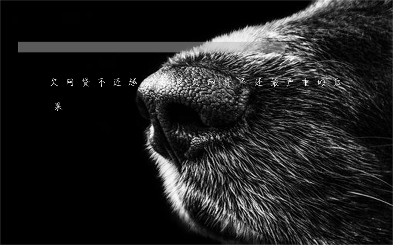 欠网贷不还越欠越多(欠网贷不还最严重的后果)
