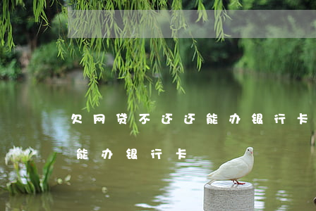欠网贷不还还能办银行卡吗(网贷逾期还能不能办银行卡)