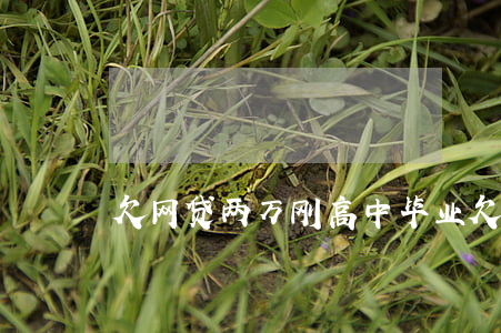 欠网贷两万刚高中毕业(欠网贷2万多)