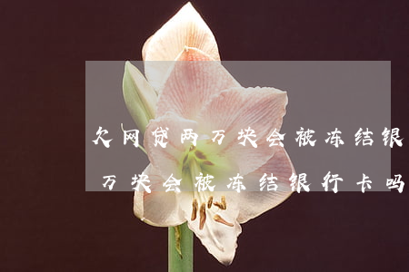 欠网贷两万块 会被冻结银行卡吗-欠网贷两万块 会被冻结银行卡吗知乎