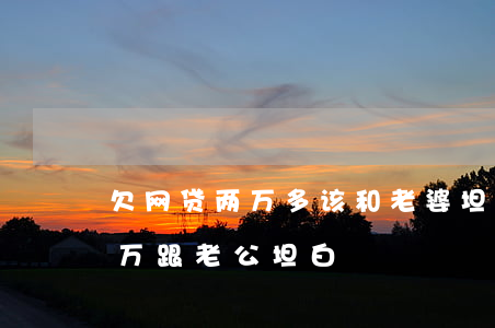 欠网贷两万多该和老婆坦白吗(网贷欠了20万跟老公坦白)