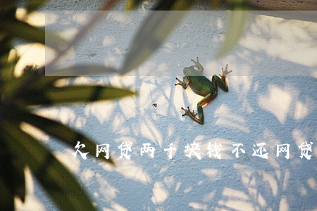 欠网贷两千块钱不还(网贷欠2千不还会怎样)