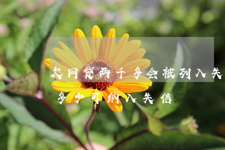 欠网贷两千多会被列入失信人员吗(网贷欠款多少可纳入失信)