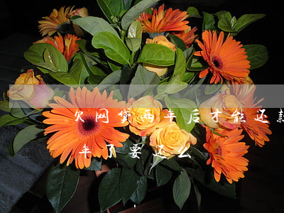 欠网贷两年后才能还款怎么操作(网贷欠了三年了要还么)