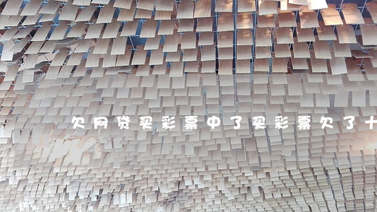 欠网贷买彩票中了(买彩票欠了十几万网贷)