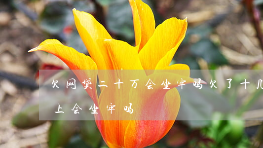 欠网贷二十万会坐牢吗(欠了十几万网贷还不上会坐牢吗)