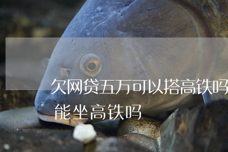 欠网贷五万可以搭高铁吗(网贷逾期欠几万还能坐高铁吗)