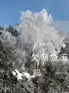 欠网贷五六千会上门吗(网贷欠几千元会上门吗)