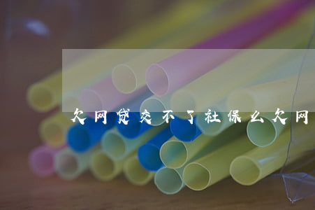 欠网贷交不了社保么(欠网贷的人能交医保吗)