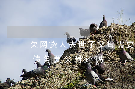 欠网贷人去世了父母需要还吗(欠网贷人死了债务要父母还吗)