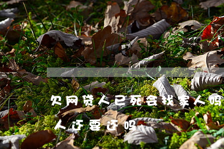 欠网贷人已死会找家人吗(欠了网贷人死了家人还要还吗)