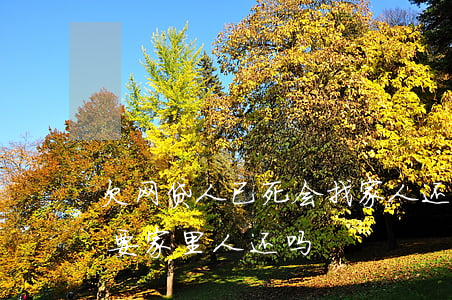 欠网贷人已死 会找家人还吗(欠的网贷死了需要家里人还吗)