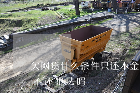 欠网贷什么条件只还本金(网贷本金还清利息不还犯法吗)