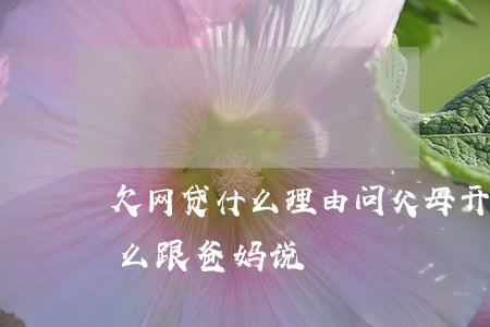 欠网贷什么理由问父母开口要钱(网贷欠钱怎么跟爸妈说)