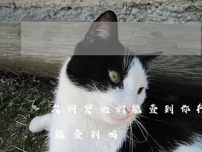 欠网贷他们能查到你行踪吗(网贷逾期公安局能查到吗)