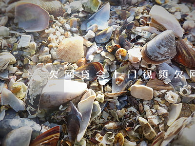 欠网贷会上门视频(欠网贷被派出所上门)