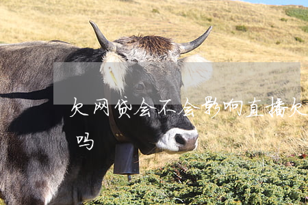 欠网贷会不会影响直播(欠网贷真的会被起诉吗)