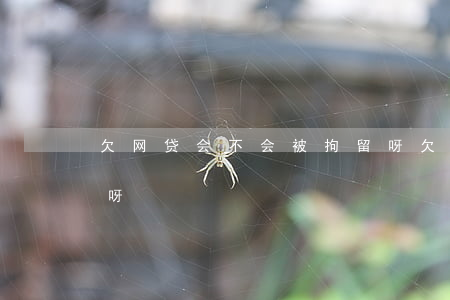 欠网贷会不会被拘留呀(欠网贷会不会被拘留呀)