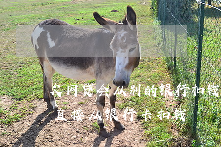 欠网贷会从别的银行扣钱吗(网贷欠款会不会直接从银行卡扣钱)