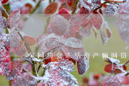欠网贷会冻结资产嘛(网贷不还会冻结资产吗)