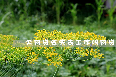 欠网贷会失去工作吗(网贷不还会丢工作吗)