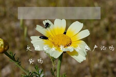 欠网贷会影响办房产证吗(有网贷欠款能办房贷吗)
