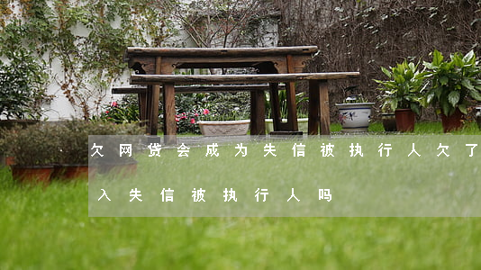 欠网贷会成为失信被执行人(欠了网贷会被列入失信被执行人吗)