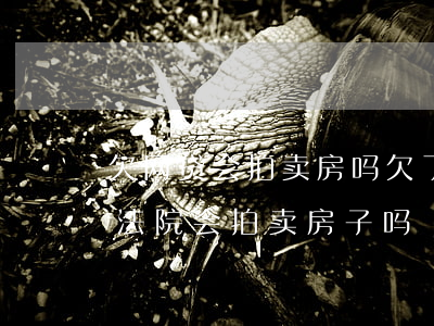 欠网贷会拍卖房吗(欠了网贷无力偿还怎么办法院会拍卖房子吗)