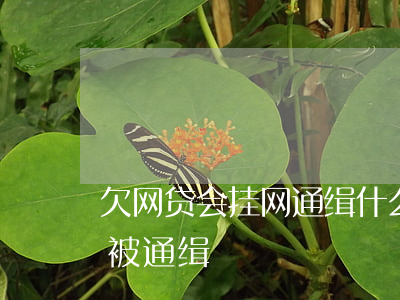 欠网贷会挂网通缉什么意思(欠网贷的会不会被通缉)