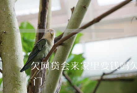 欠网贷会来家里要钱吗(欠网贷的钱会不会上门)
