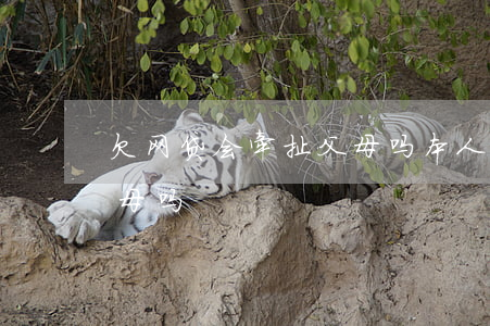 欠网贷会牵扯父母吗(本人欠的网贷会连累父母吗)