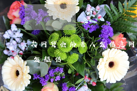 欠网贷会给亲人发信息(网贷逾期老是给家人发短信)