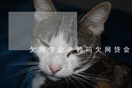 欠网贷会老赖吗(欠网贷会不会变成老赖)