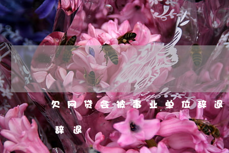 欠网贷会被事业单位辞退么(教师因欠网贷被辞退)