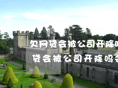 欠网贷会被公司开除吗会影响征信吗-欠网贷会被公司开除吗会影响征信吗知乎