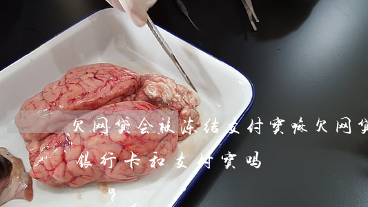 欠网贷会被冻结支付宝嘛(欠网贷不还会冻结银行卡和支付宝吗?)
