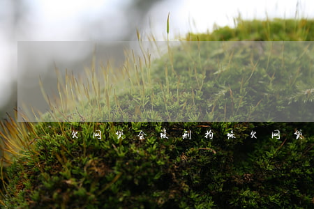 欠网贷会被刑拘嘛(欠网贷会被拘留吗)